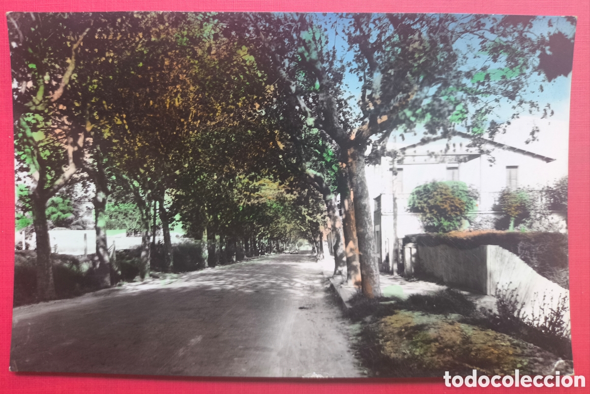 Postales: LLINARS DEL VALL&Egrave;S CARRETERA CALDAS POSTAL FOTOGR&Aacute;FICA COLOREADA 1963