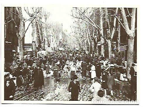 Postales: MA&Ntilde;ANA PRIMAVERAL EN LA RAMBLA DE LES FLORS.- BARCELONA