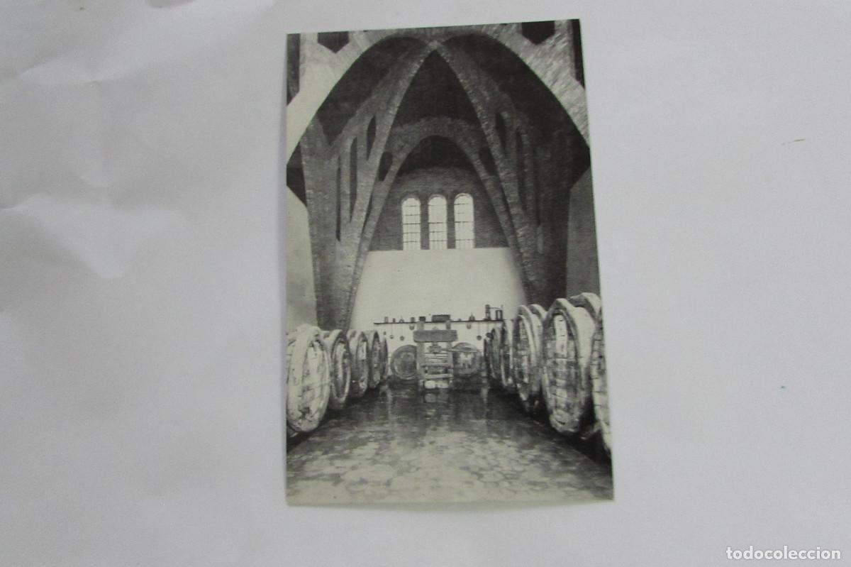Postales: BAIX LLOBREGAT - POSTAL CERVELL&Oacute; - RONDEL-RAYMAT - T&Iacute;PICA BODEGA