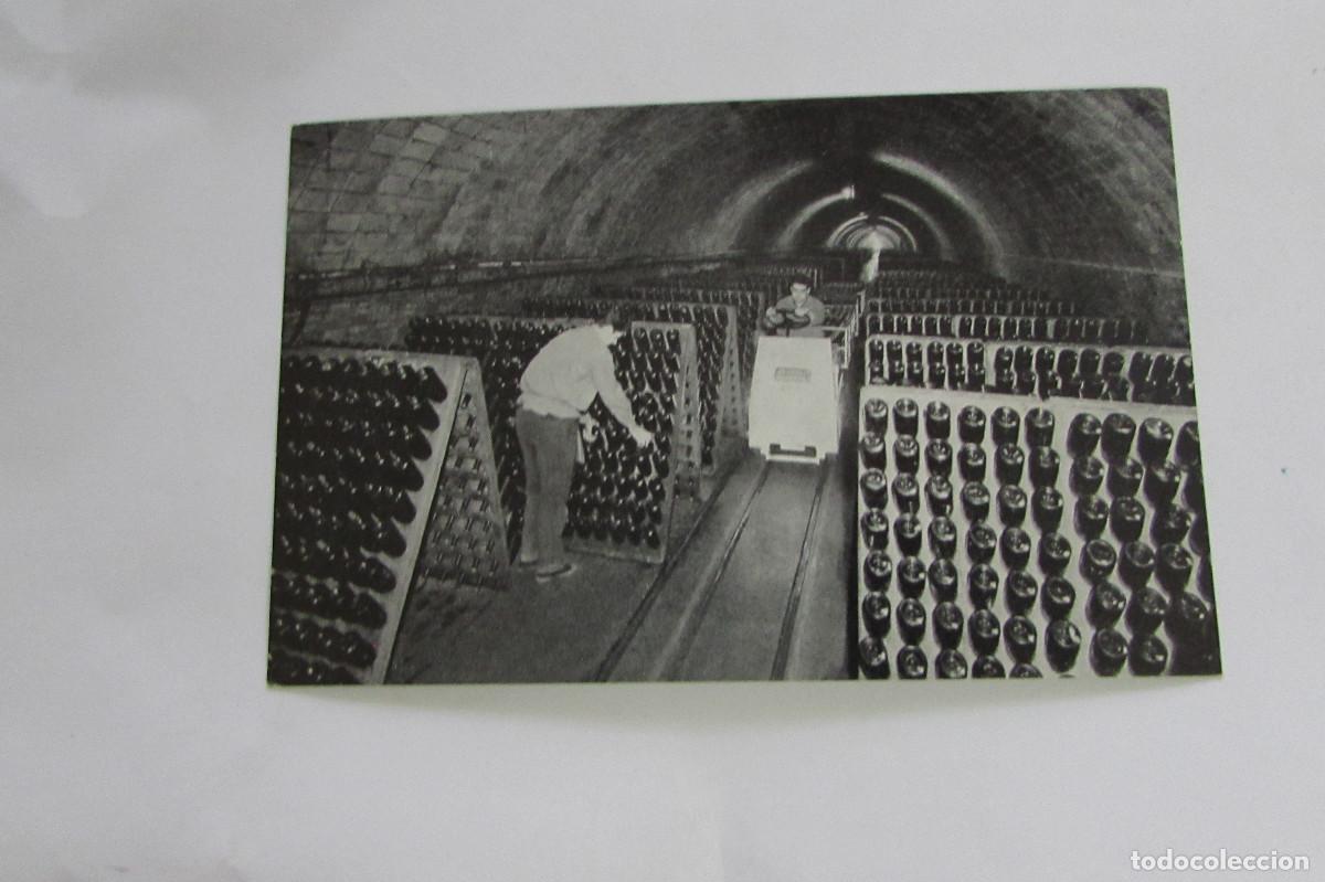 Postales: BAIX LLOBREGAT - POSTAL CERVELL&Oacute; - RONDEL-RAYMAT - CAVA CON PUPITRES