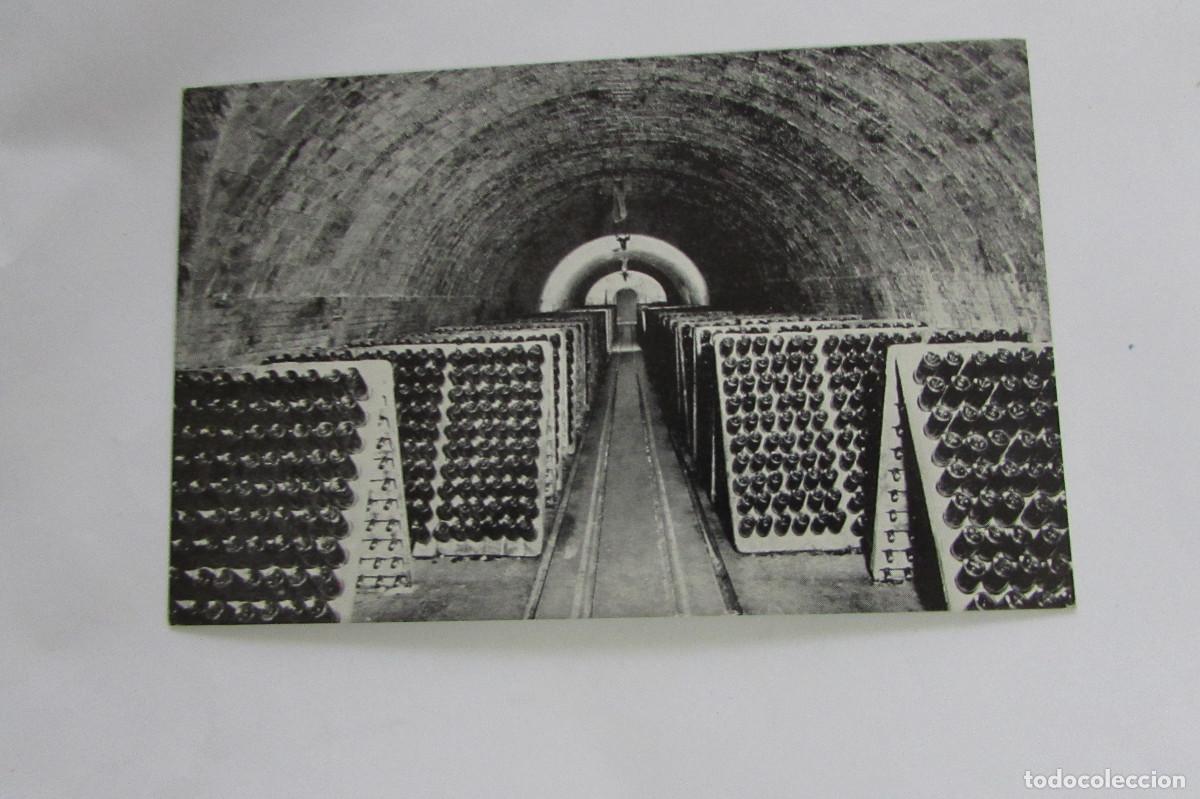 Postales: BAIX LLOBREGAT - POSTAL CERVELL&Oacute; - RONDEL-RAYMAT - CAVA CON PUPITRES