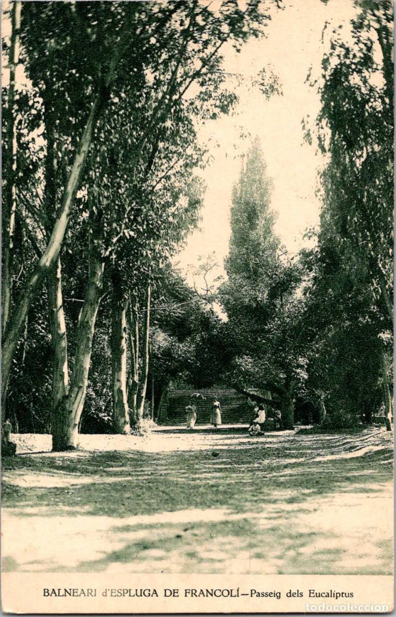 Postales: Balneari d'Espluga de Francol&iacute; - Passeig dels Eucaliptus - Huecograbado Mumbr&uacute; - 138x89mm
