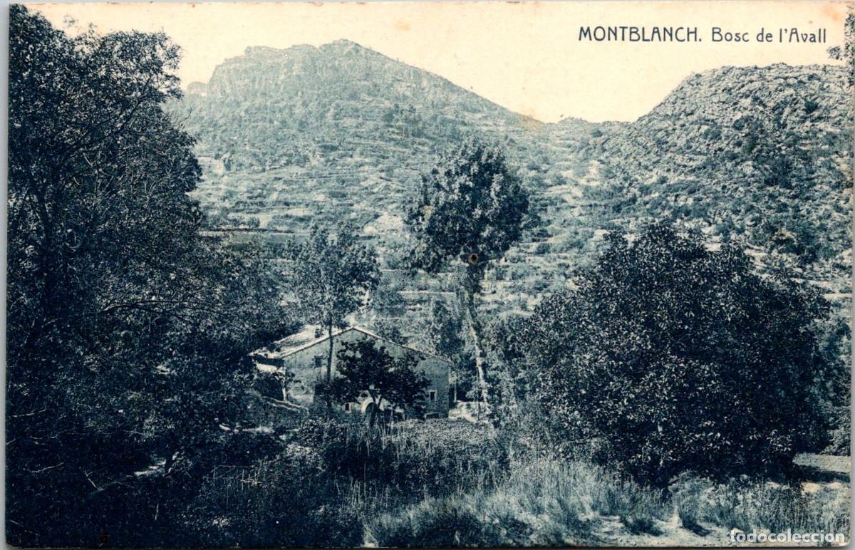 Postales: Montblanch - Bosc de l'Avall - F. Thomas - 139x90mm