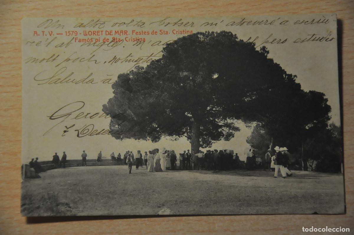 Postales: postal lloret de mar, festes de sta. cristina, famos pi de sta. cristina, atv 1579
