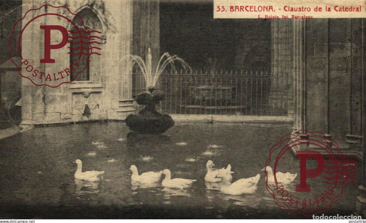 Postales: BARCELONA. CLAUSTRO DE LA CATEDRAL. - Foto 1