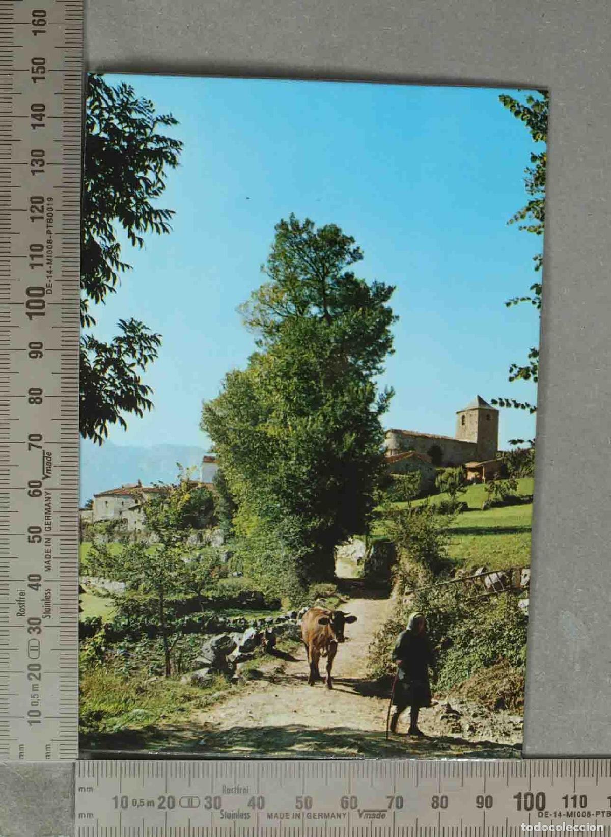 Postales: POSTAL. Mussa de Cerdanya - Camino del Rio