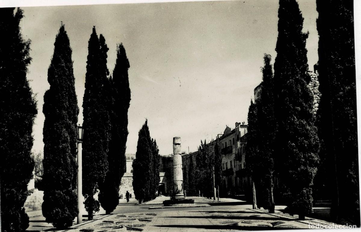 Postales: POSTAL MODERNA DE CATALU&Ntilde;A. TARRAGONA. PASEO DE LOS CIPRESES Y COLUMNA ROMANA. P-CAT-2061