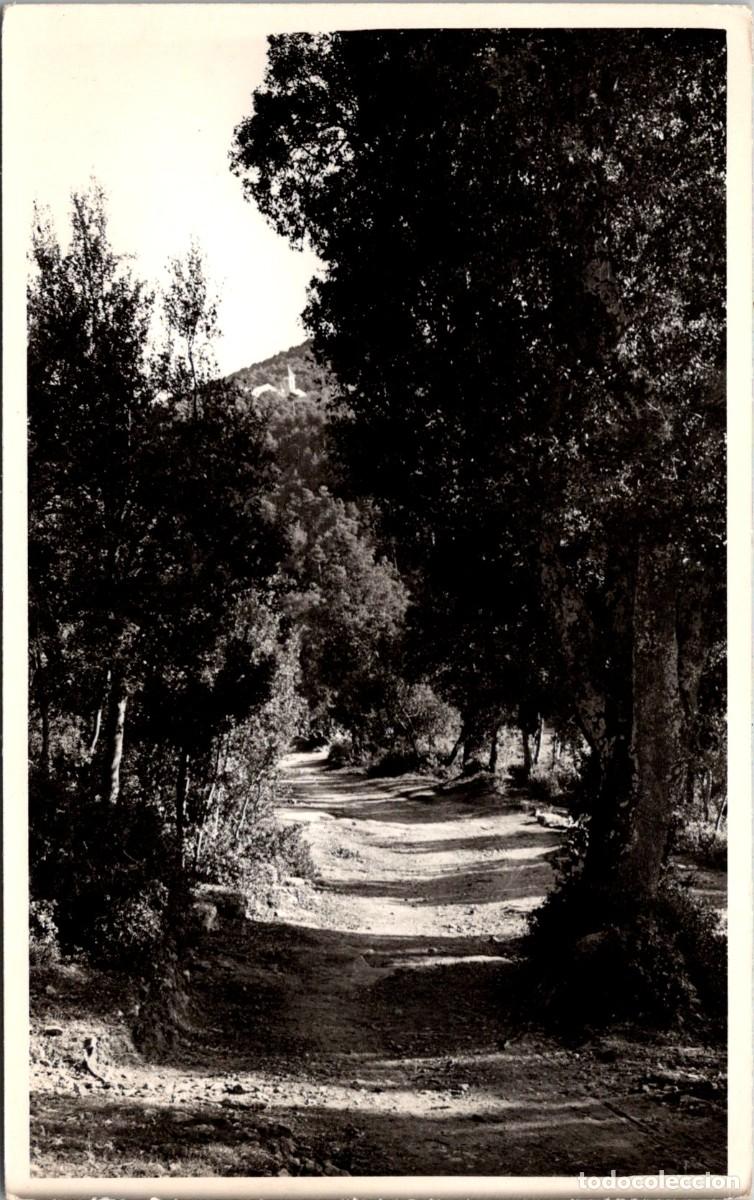 Postales: Puiglagulla - Vista desde el camino - n&ordm; 14 - Sin m&aacute;s datos - 141x88mm - In&eacute;dita en Todocolecci&oacute;n