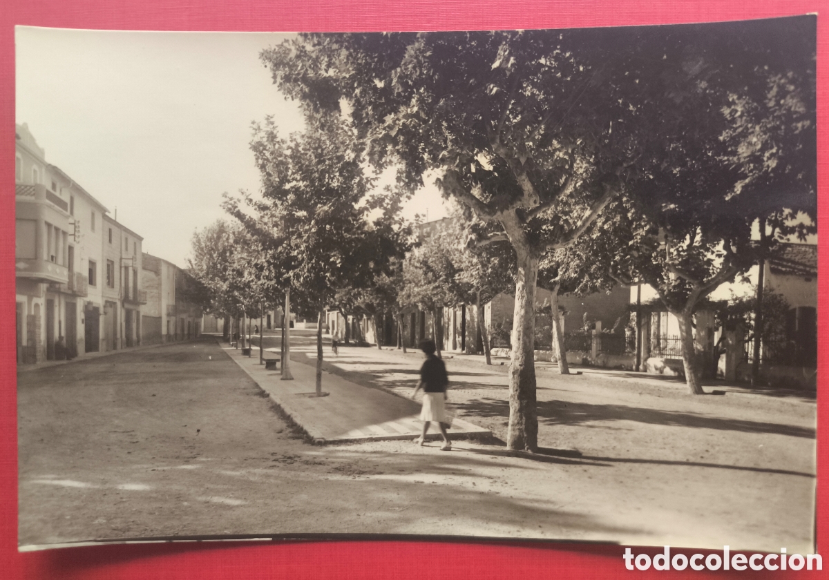 Postales: IVARS D'URGELL PASSEIG ROD&Eacute;S POSTAL FOTOGR&Aacute;FICA LLEIDA C. 1960
