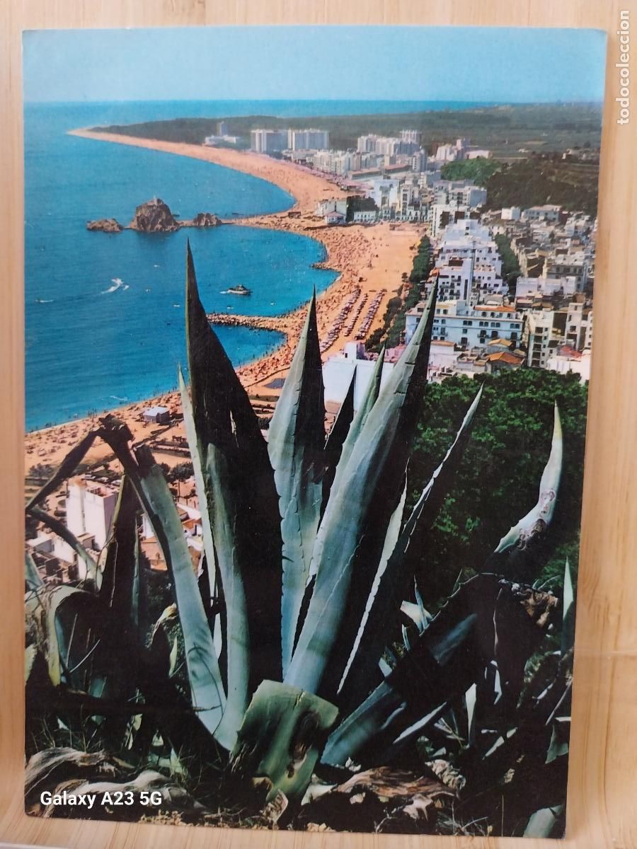 Postales: BLANES COSTA BRAVA ED FABREGAT 709 SC ORIGINAL