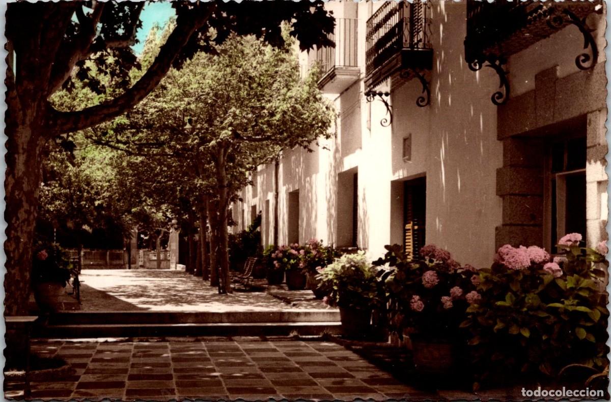 Postales: Argentona - Hotel Sol&eacute; - Foto G&uuml;ell - Coloreada - 141x94mm - Jard&iacute;n