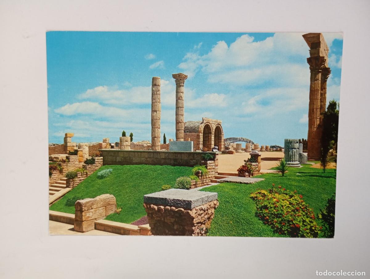 Postales: POSTAL DE TARRAGONA. FORO ROMANO. TDKP29R