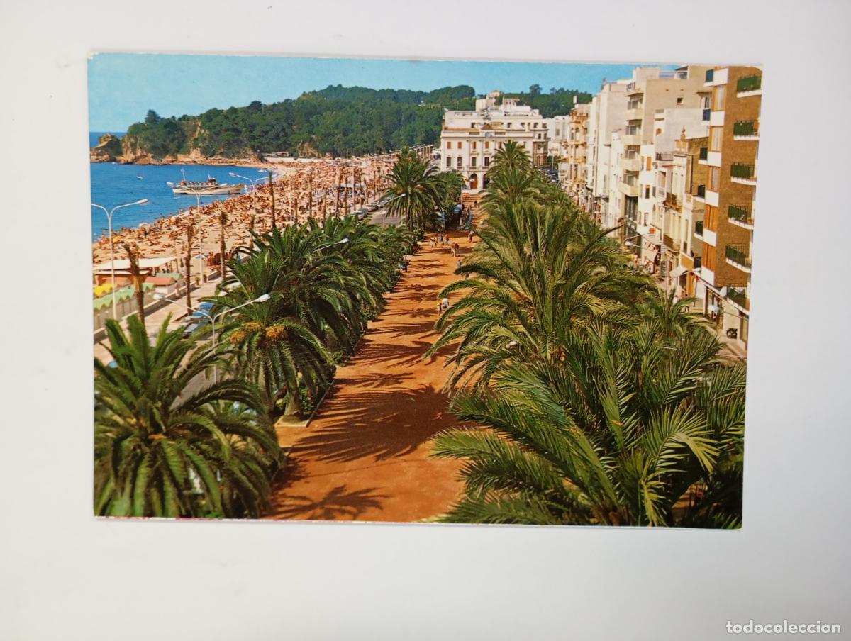 Postales: POSTAL DE LLORET DE MAR. PASEO Y PLAYA. TDKP29R