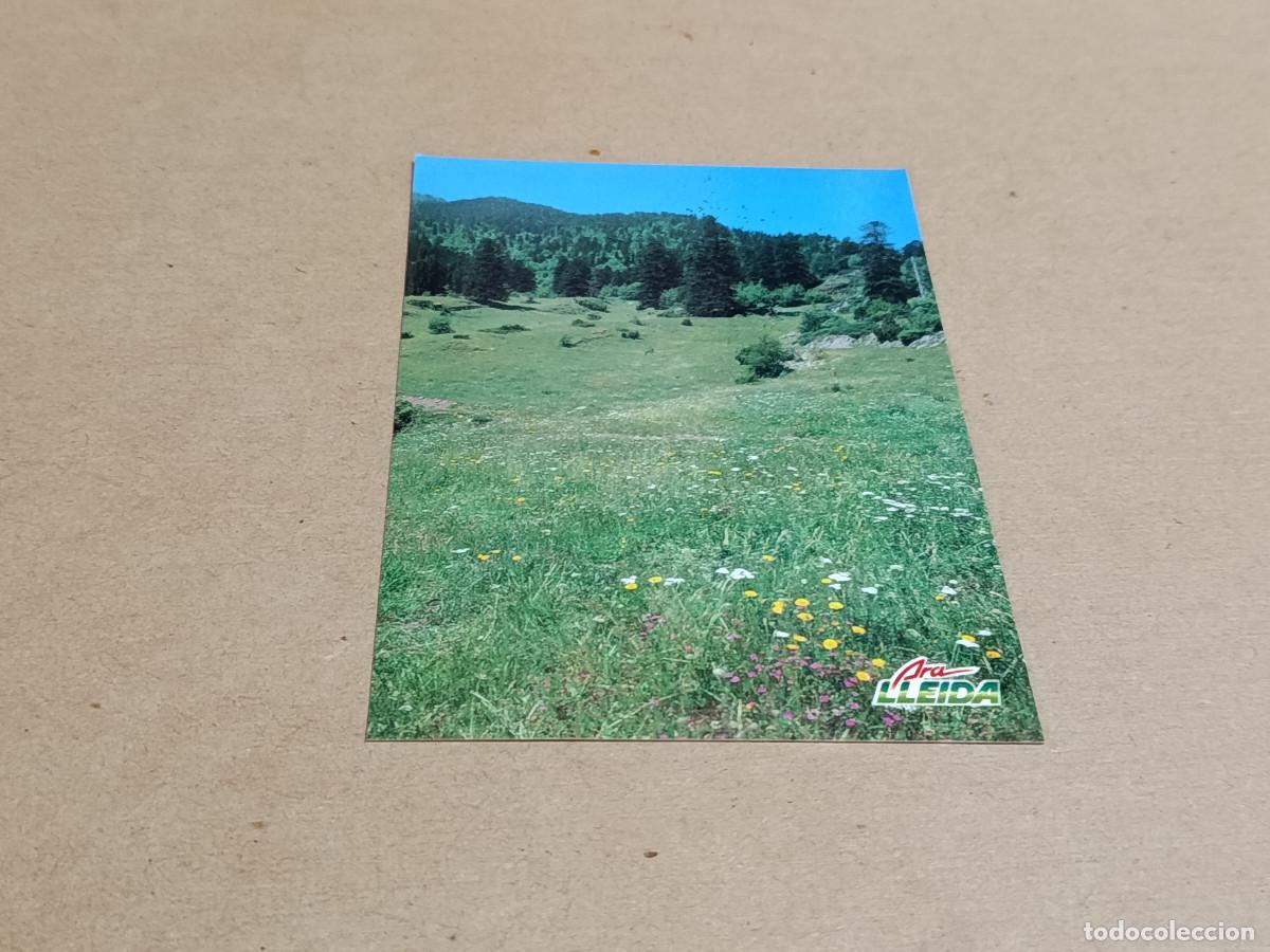 Postales: PALLARS SOBIR&Agrave; - POSTAL PORT DE SALAU