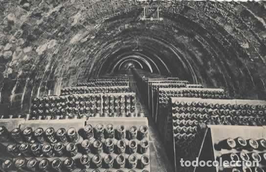 Cartes Postales: BARCELONA SAN SADURNI DE NOYA SIN ESCRIBIR CASA CODORNIU