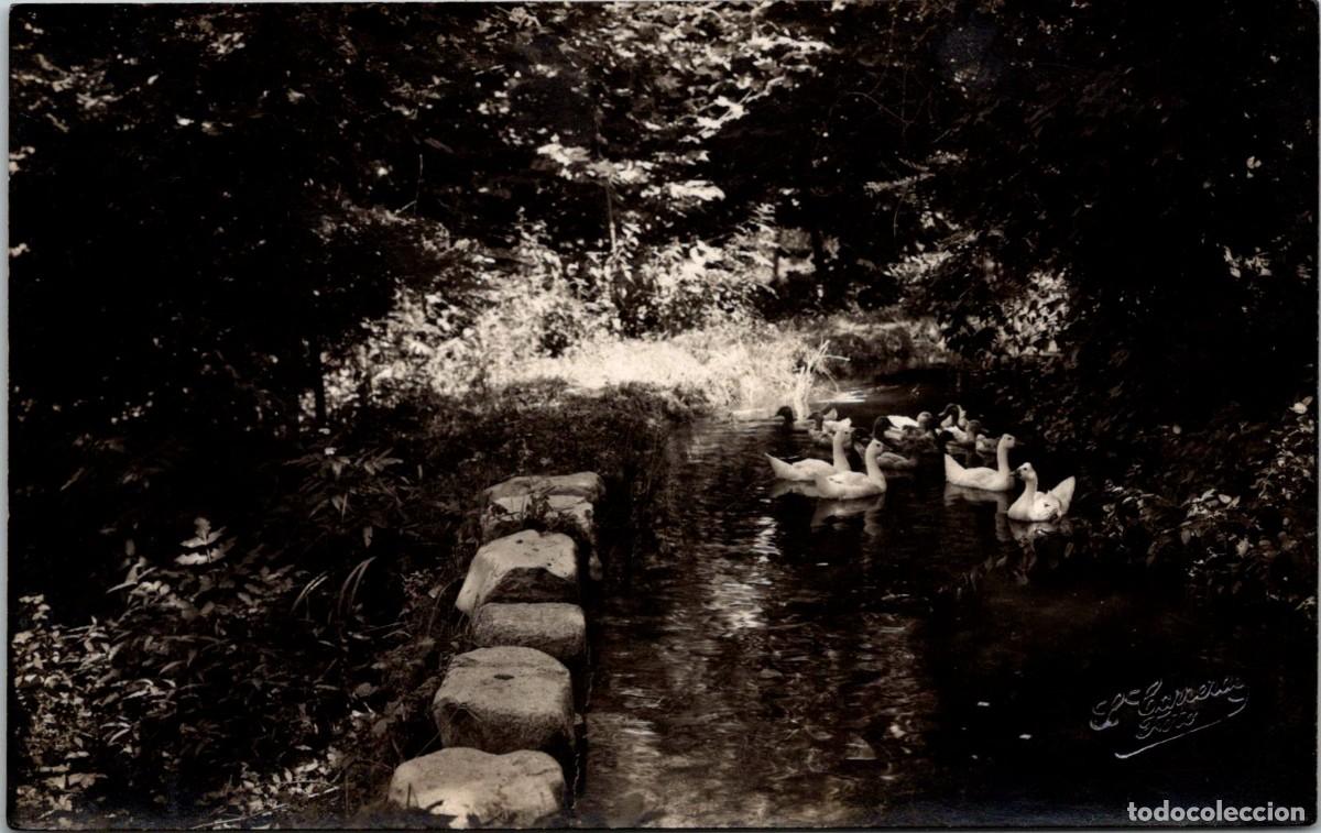 Postales: Arbucias - Paisaje n&ordm; 26 - Fotogr&aacute;fica - Foto Carreras - Sello Seco - 140x88mm