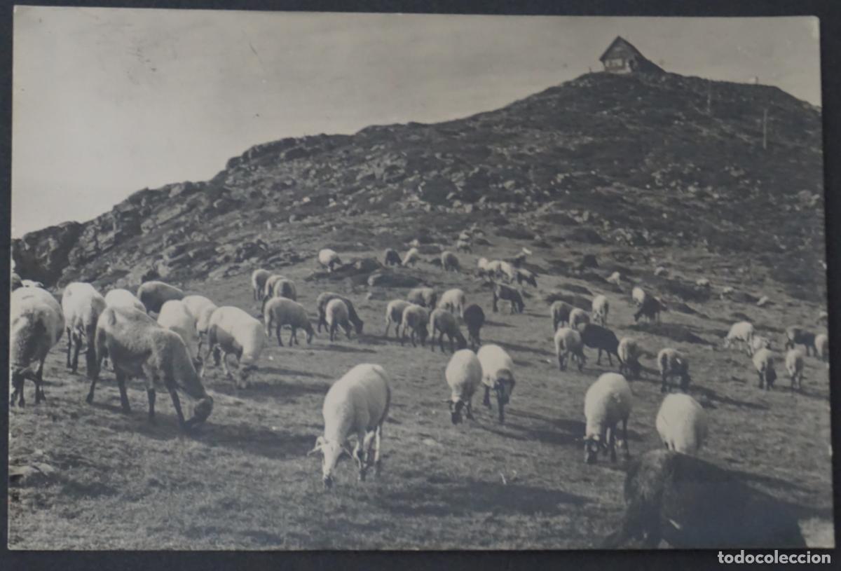 Postales: Montseny, Turo de l'Home, postal circulada con sello y matasellos de Santa Fe
