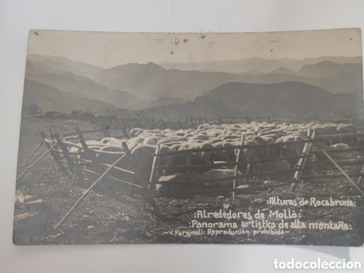 Postkarten: tarjeta postal antigua Alrededores de Moll&oacute;, repollės