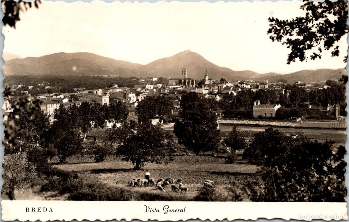 Postales: Breda - Vista general - Sin datos - 140x89mm - Pastor - Ovejas