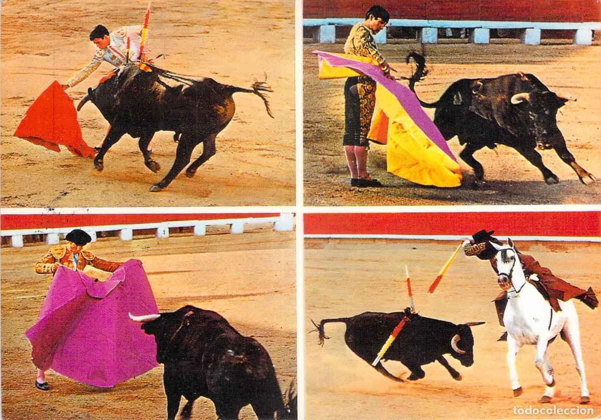 Postales: Postal de Tauromaquia con Escenas de Toros y Rejoneo