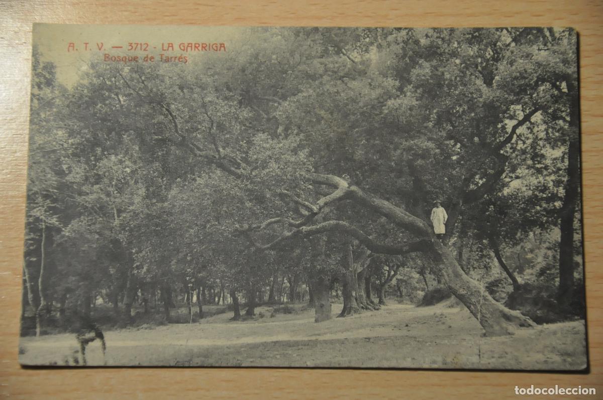 Postales: postal la garriga, bosque de tarres, atv 3712
