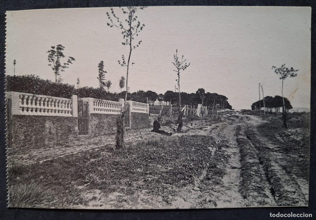 Postales: POSTAL ANTIGUA DE MONTMEL&Oacute; - CALLE DE LOS PINOS- (SIN CIRCULAR) - L.ROISIN