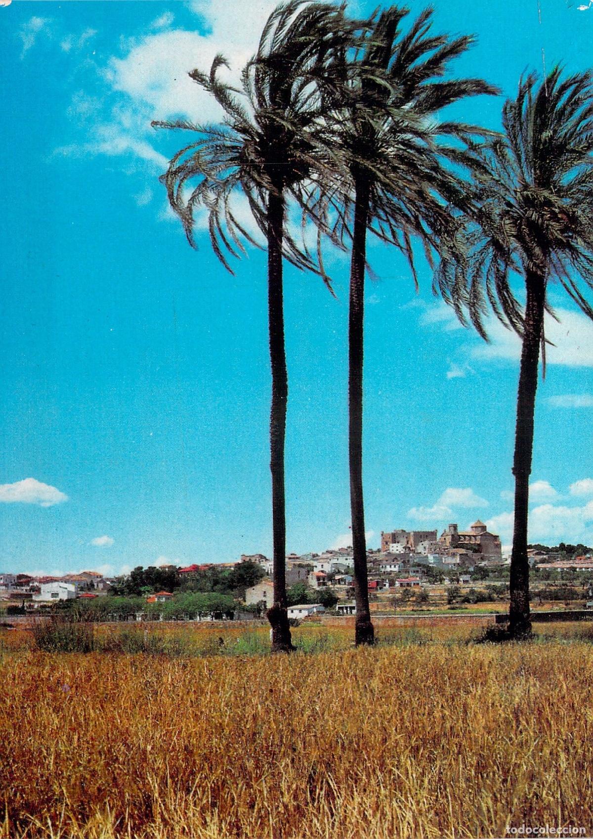 Postcards: Postal de Altafulla, Costa Dorada, Tarragona - Vista General con Palmeras