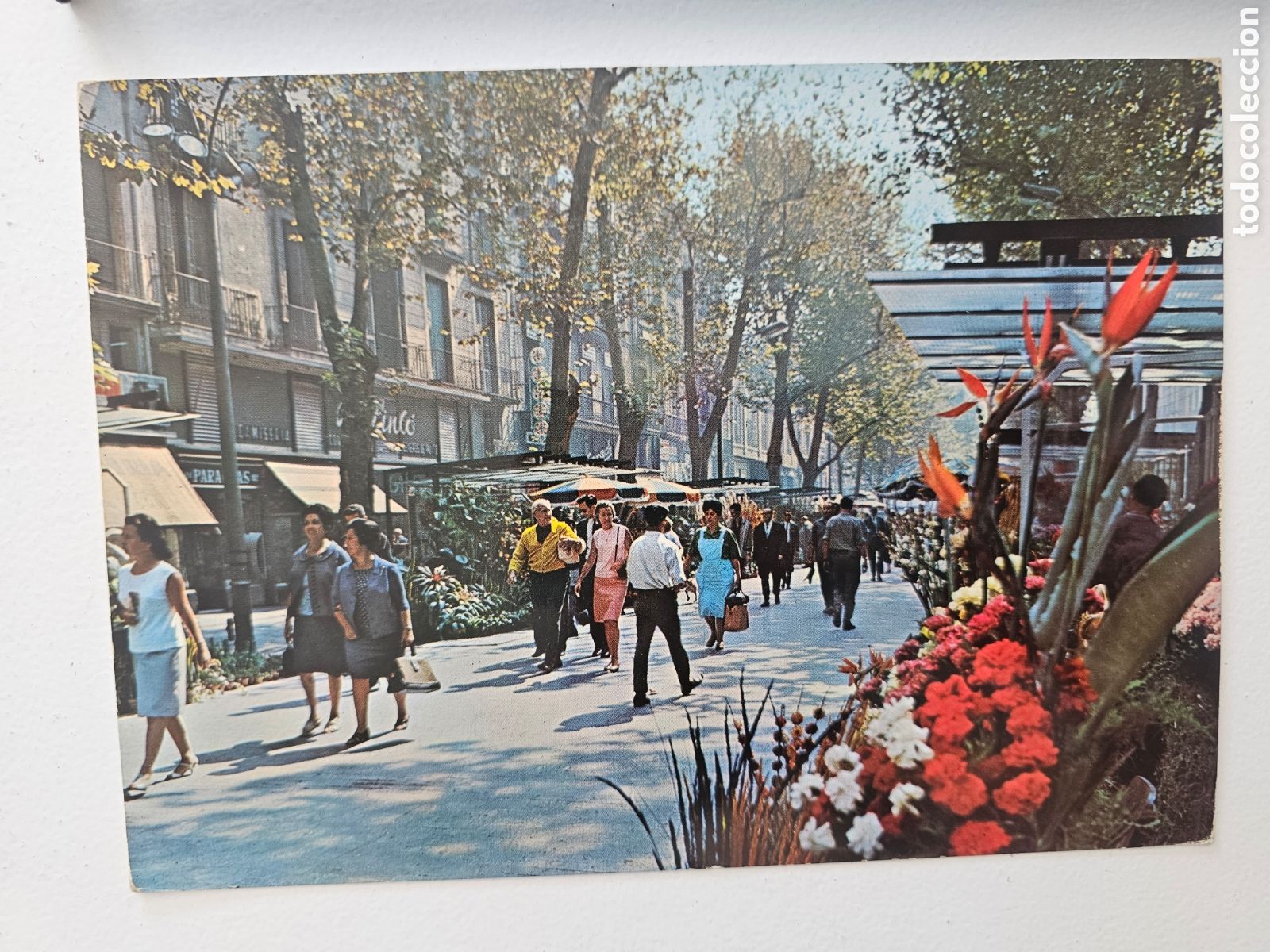 Postales: Postal de gran tama&ntilde;o de las Rambla de las flores de Barcelona 1967 n&deg; 10016