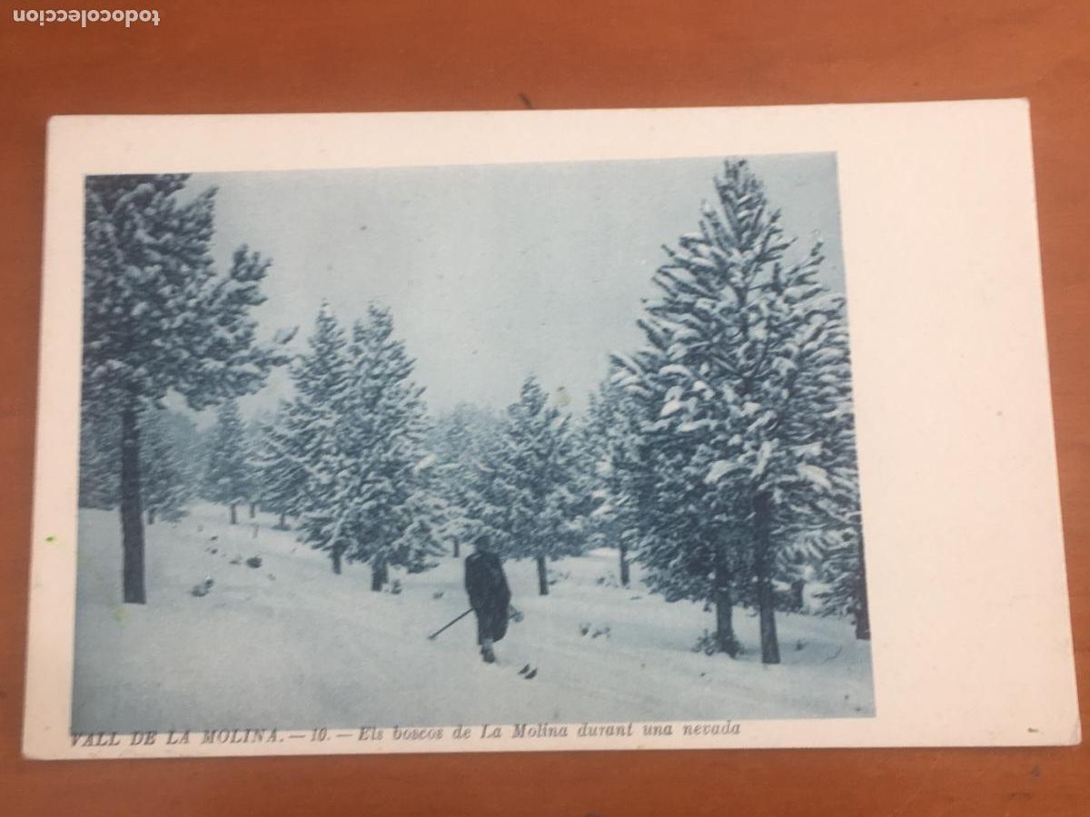 Postales: vall de nuria els boscos de la molina durant una nevada postal original