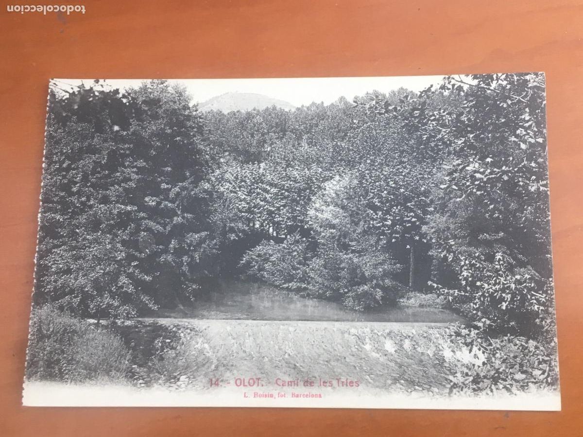 Postkarten: olot cami de les tries postal original