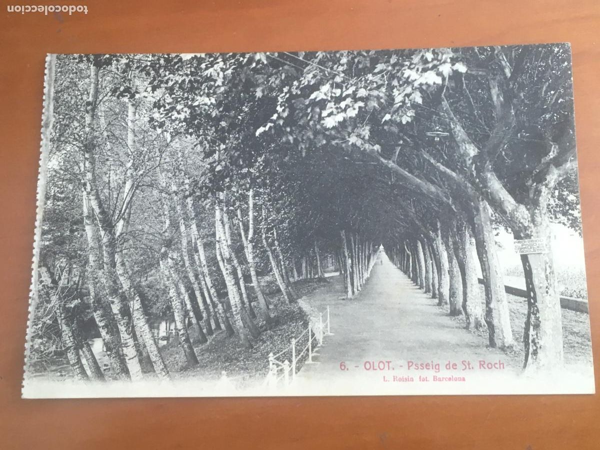 Postales: olot passeig de sant roch postal original