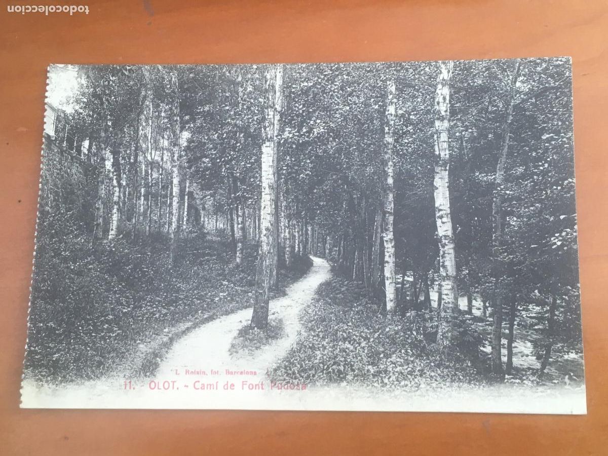 Postales: olot cami de font postal original
