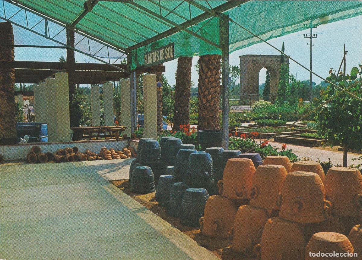 Postales: RODA DE BARA (TARRAGONA) GARDEN CENTER - A.CAMPA&Ntilde;A N&ordm;197 - S/C