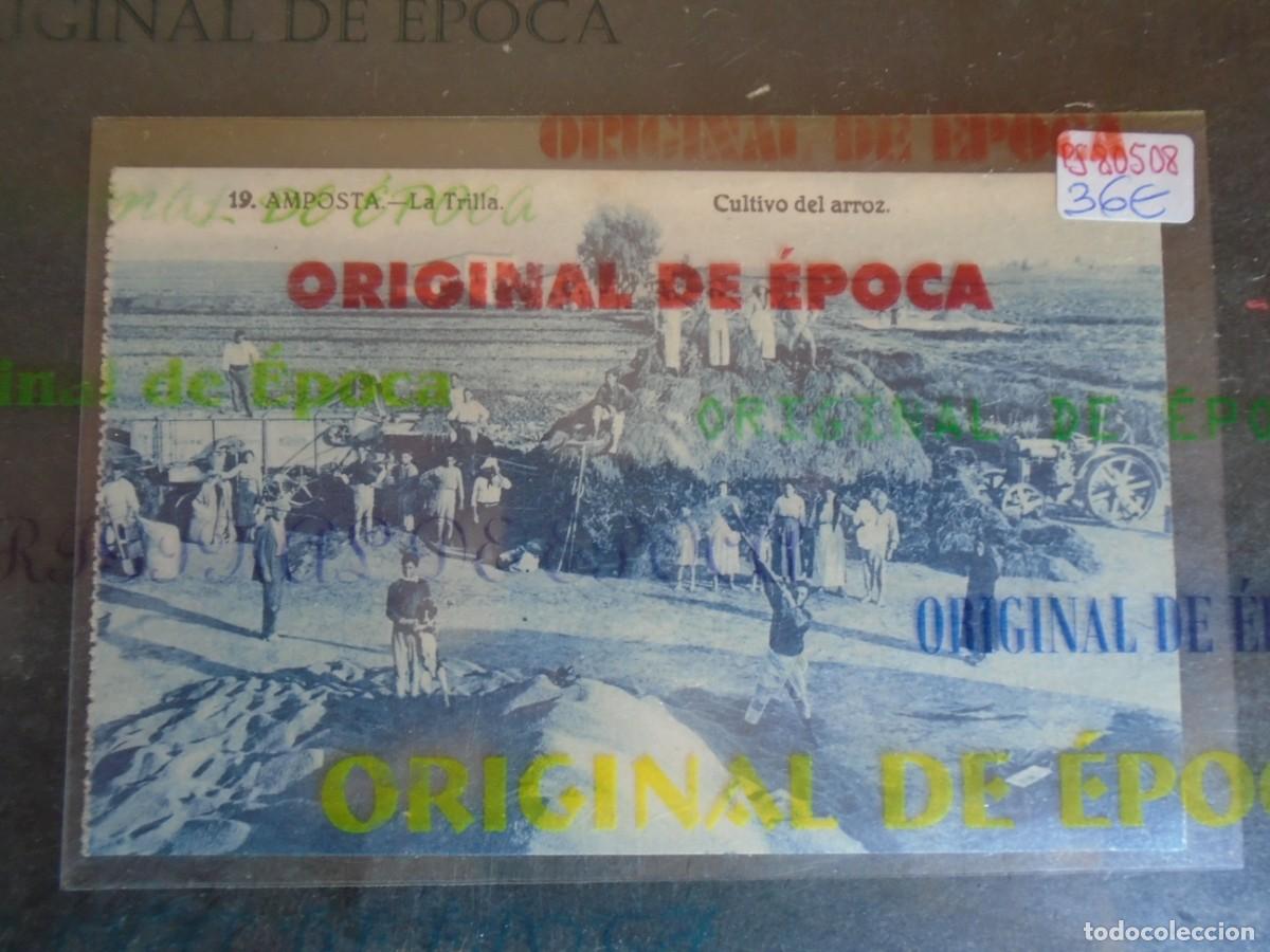 Postales: (PS-80508)POSTAL DE AMPOSTA-LA TRILLA.CULTIVO DEL ARROZ