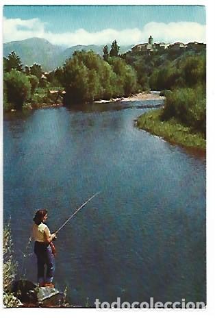 Postales: EL RIO SEGRE - THE SEGRE RIVER.- BELLVER