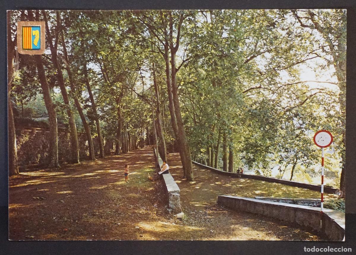 Postales: Olot, Passeig i font de San Roc . Postal circulada, editada el a&ntilde;o 1966