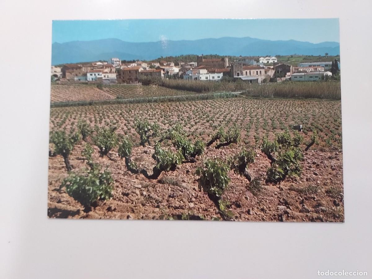 Postales: POSTAL ALT EMPORDA CAPMANY. 1980. SIN CIRCULAR. GERONA. SELLO MUNDIAL FUTBOL 82