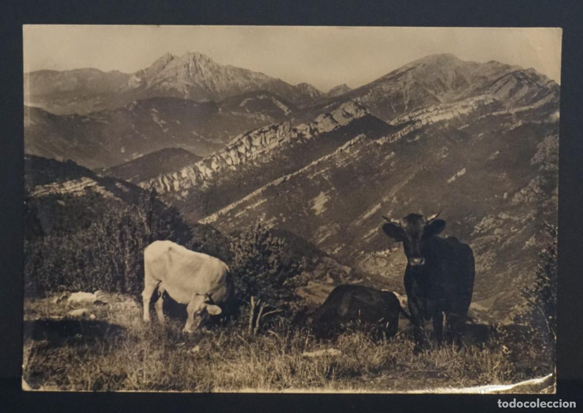 Postcards: Alt Bergued&agrave;, vista desde Rebost, Pedraforca. postal circulada en el a&ntilde;o 1973 con sello