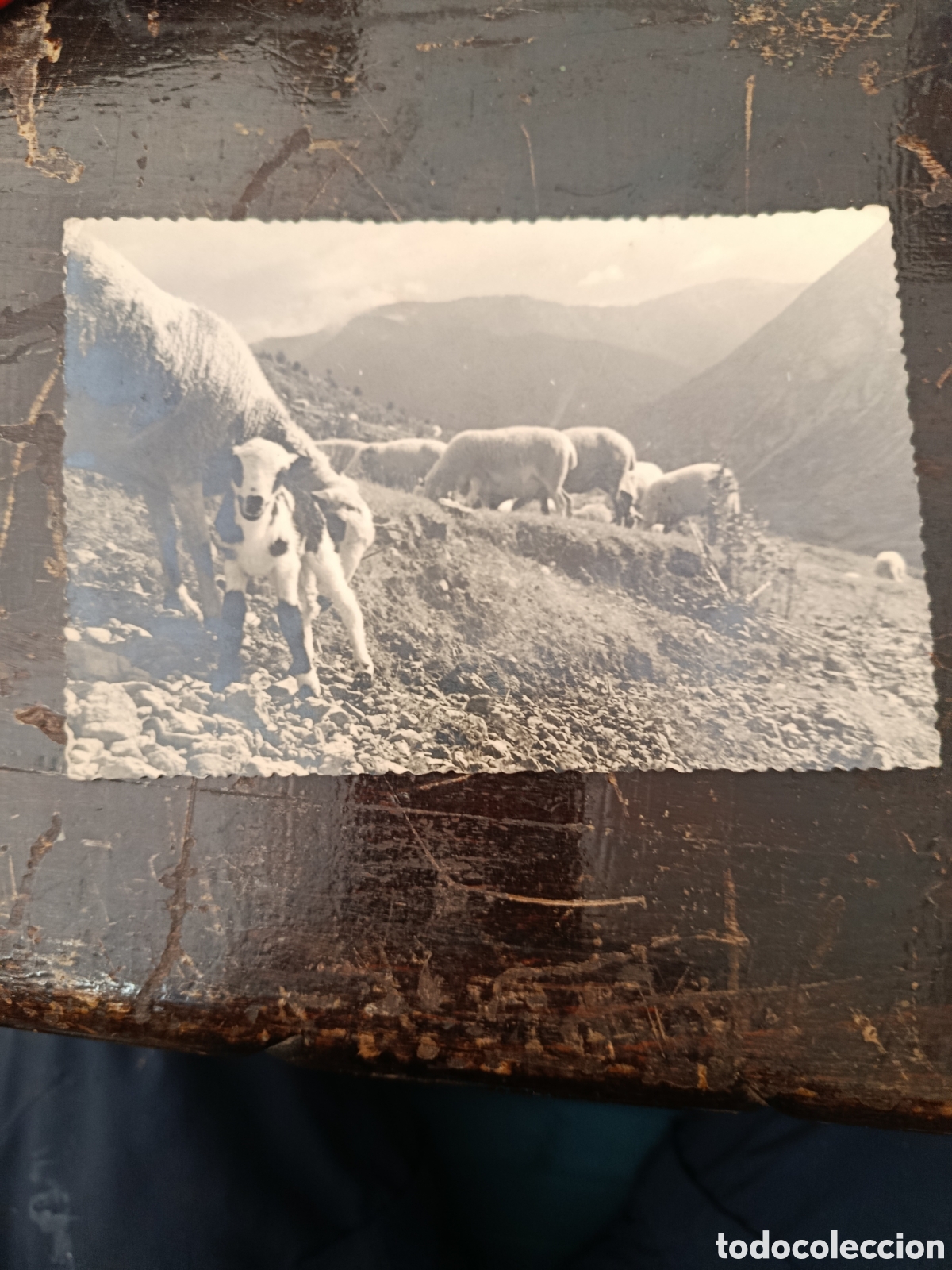 Postales: Postal gosol edici&oacute;n art&iacute;stica del pirineo alrededores de gosol estampa estival