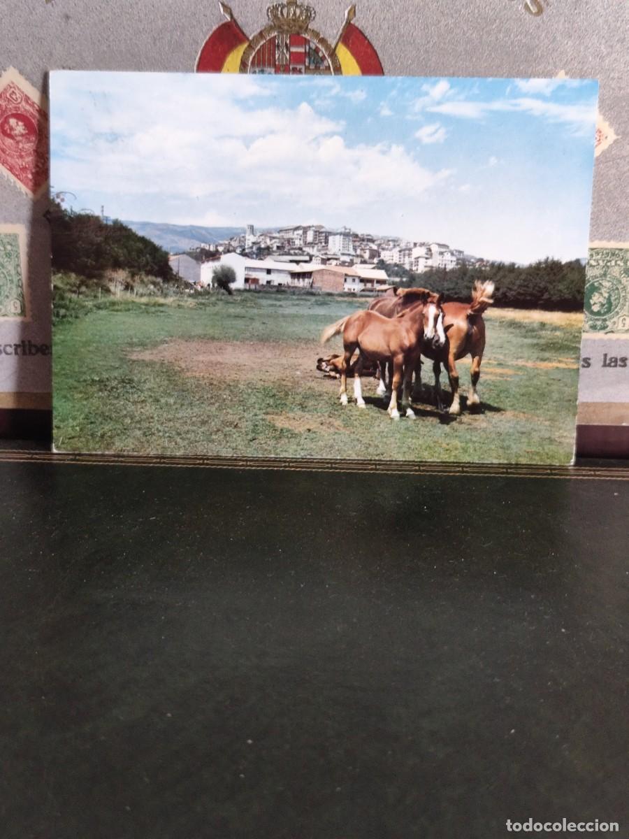 Postales: P5952 Postal Puigcerda Vista desde los prados .Fotos A. Campa&ntilde;a