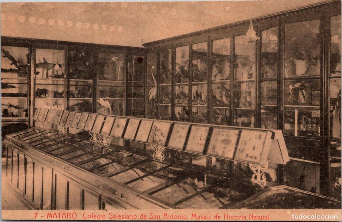 Postales: Matar&oacute; - Colegio Salesiano de San Antonio - Museo de Historia Natural - F. Thomas 7 - 137x88mm