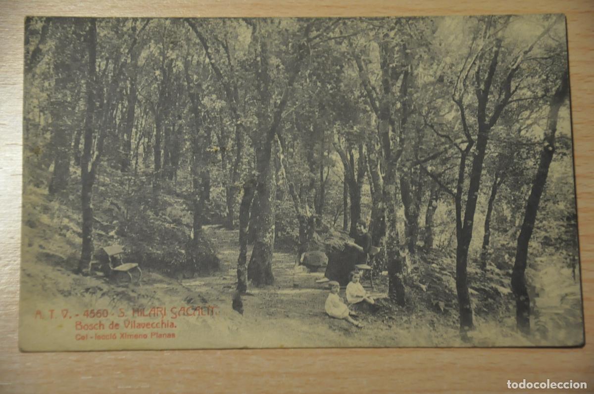 Postales: postal s.hilari sacalm, bosch de vilavecchia, atv 4560, col.leccio ximeno planas