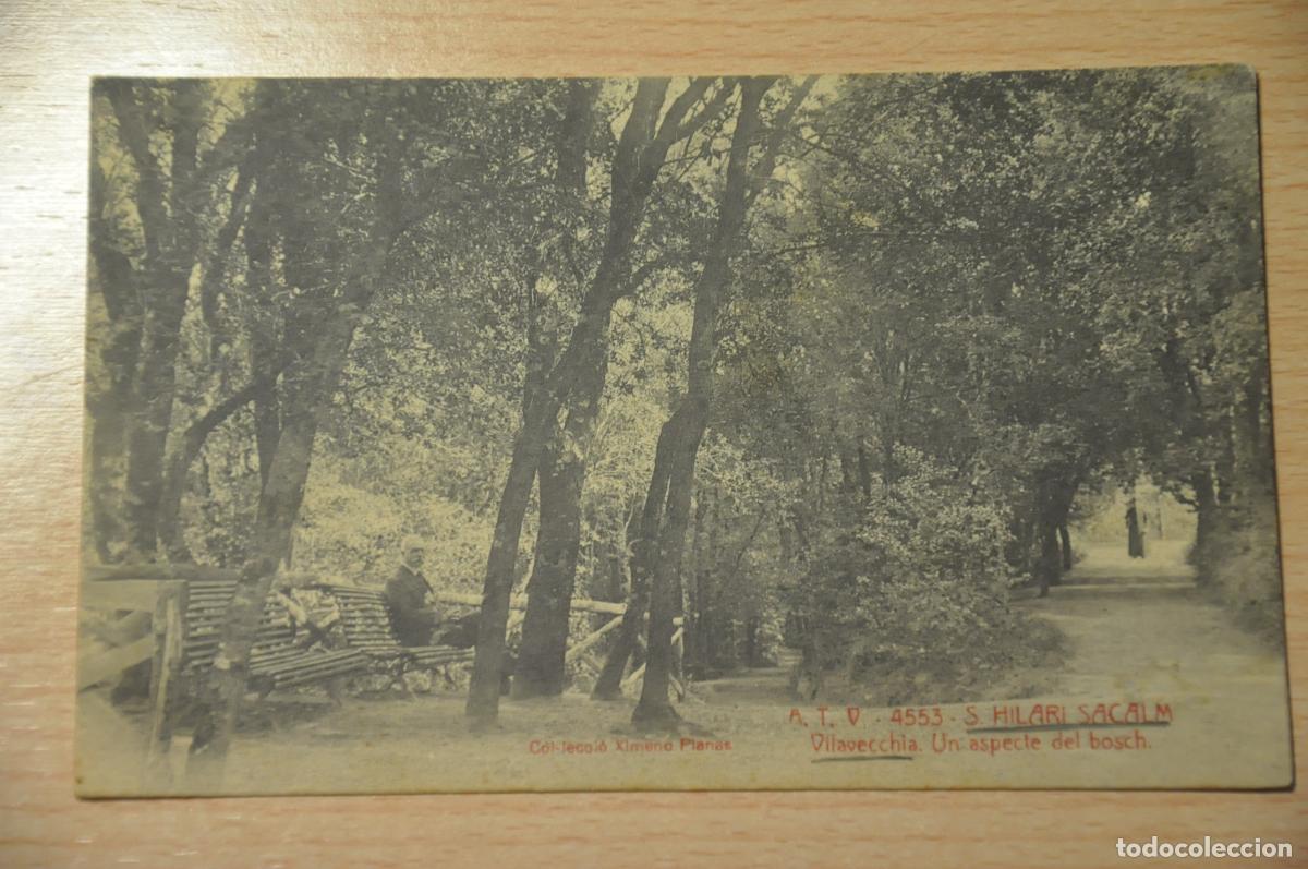 Postales: postal s.hilari sacalm, vilavecchia un aspecte del bosch, atv 4553, col.leccio ximeno planas