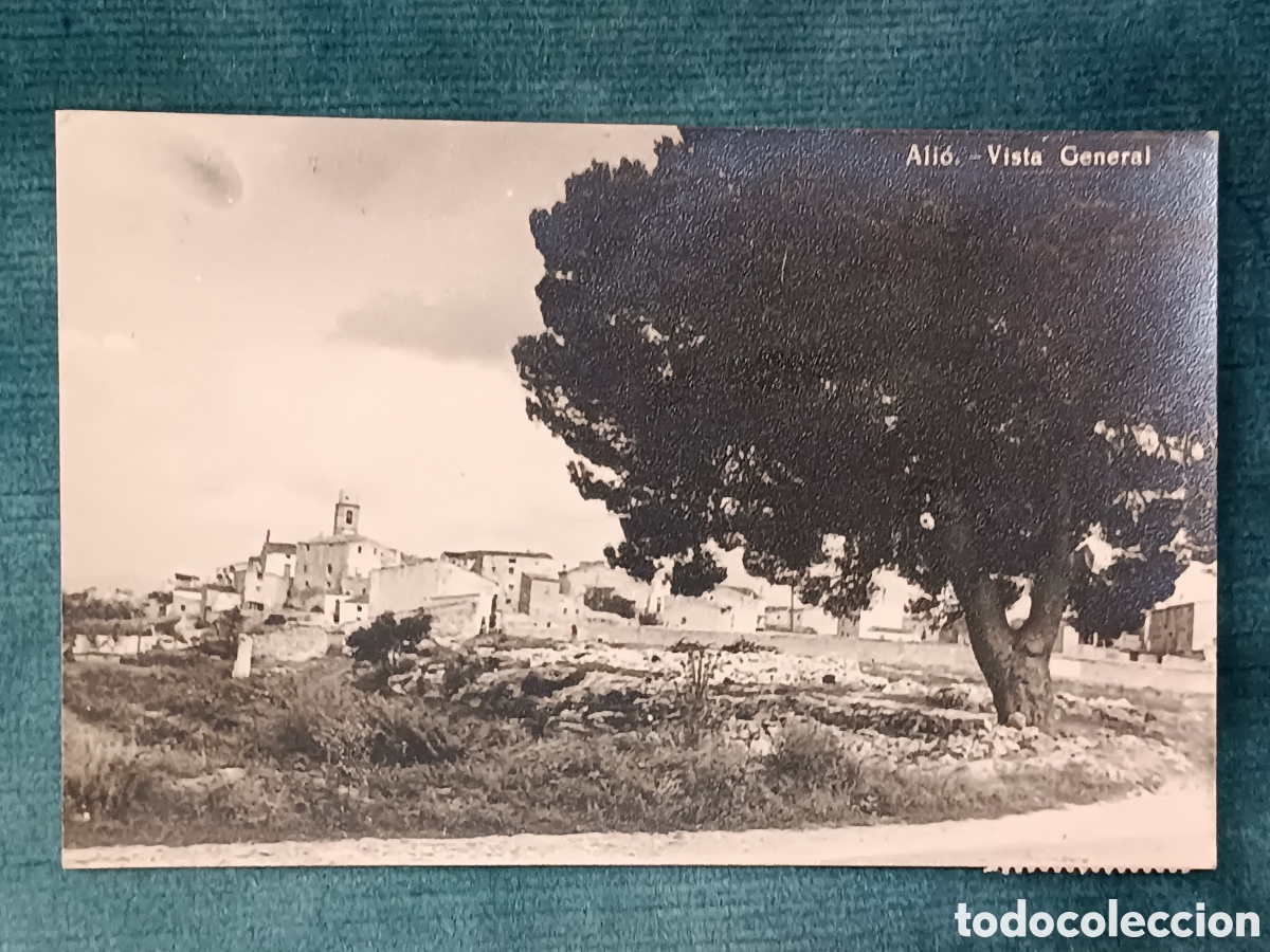 Postales: Ali&oacute;. Vista General (fotogr&aacute;fica)