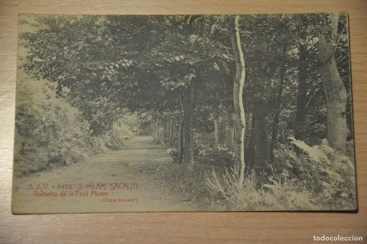 Postales: postal s.hilari sacalm, voltants de la font picant (cliche ximeno), atv 4485