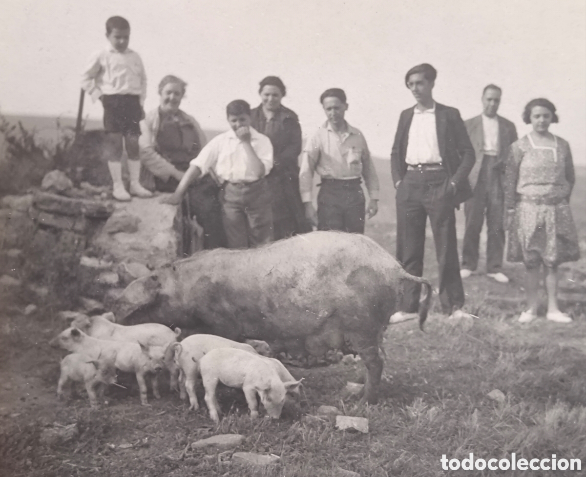 Postales: CATALUNYA ESCENA RURAL RETRATO GRUPAL LUGAR SIN IDENTIFICAR POSTAL FOTOGR&Aacute;FICA 1929