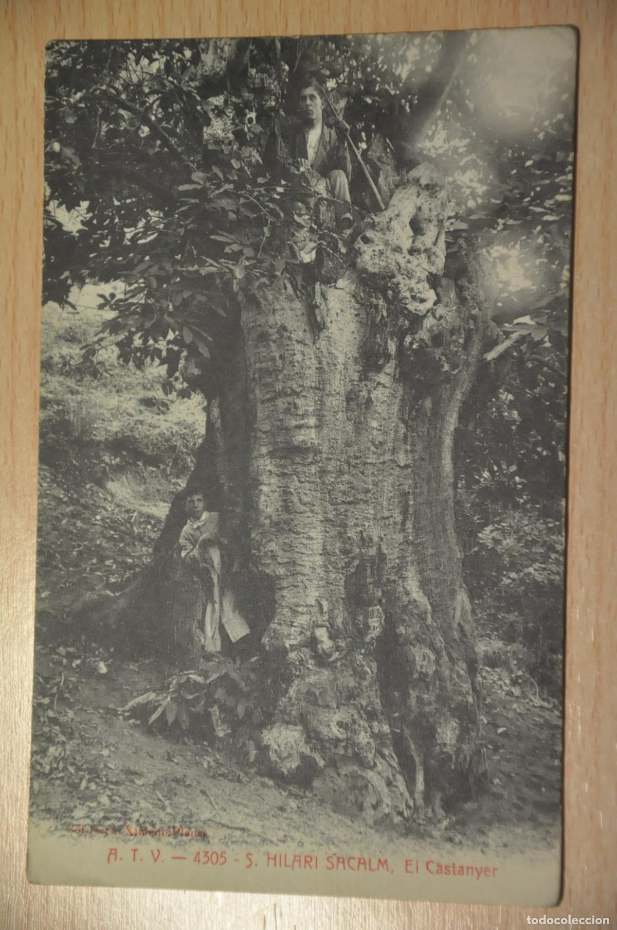 Postales: postal s.hilari sacalm, el castanyer, col.leccio ximeno planas, atv 4305