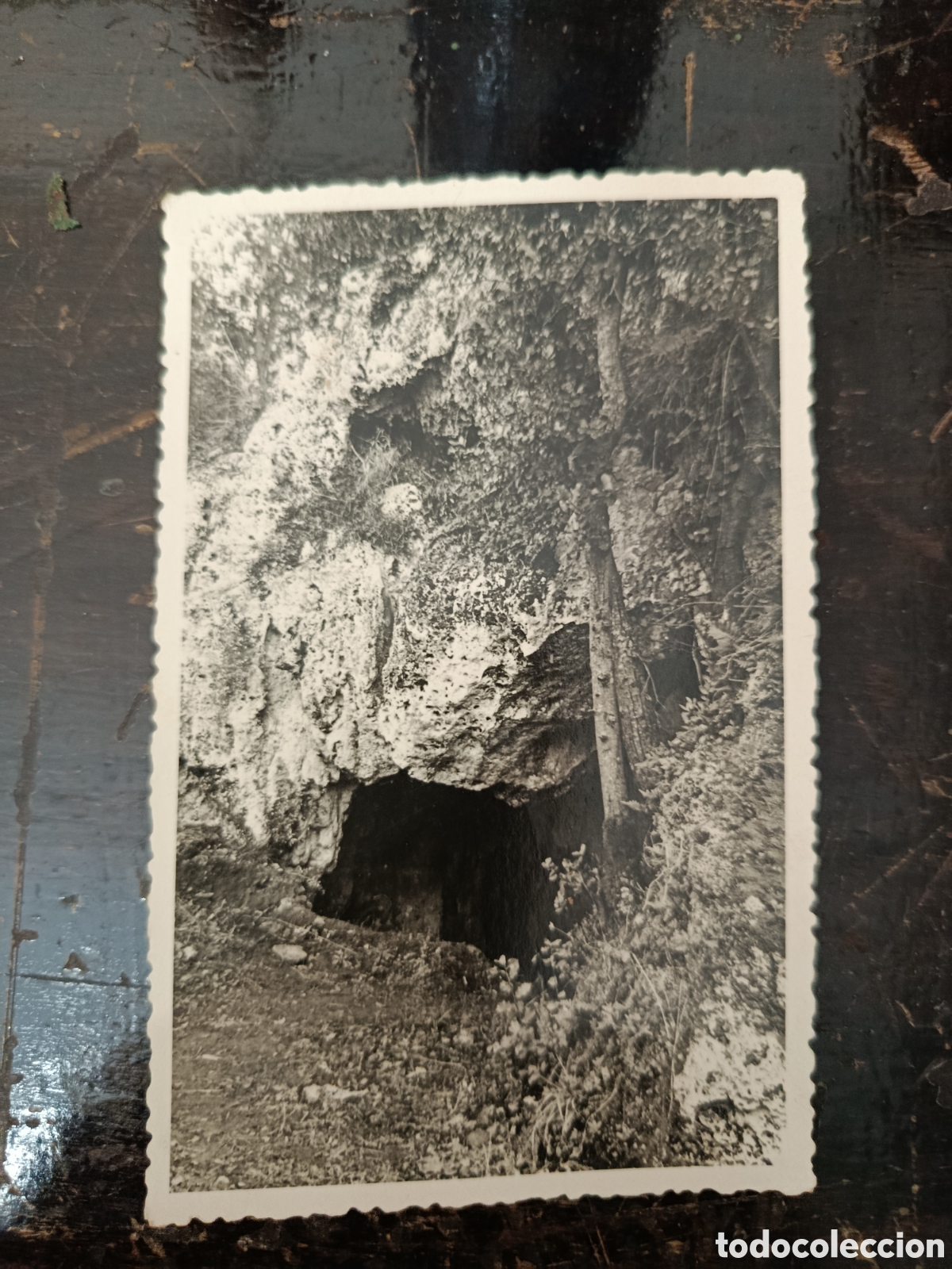 Postales: Postal de seri&ntilde;a reclau de vivero entrada