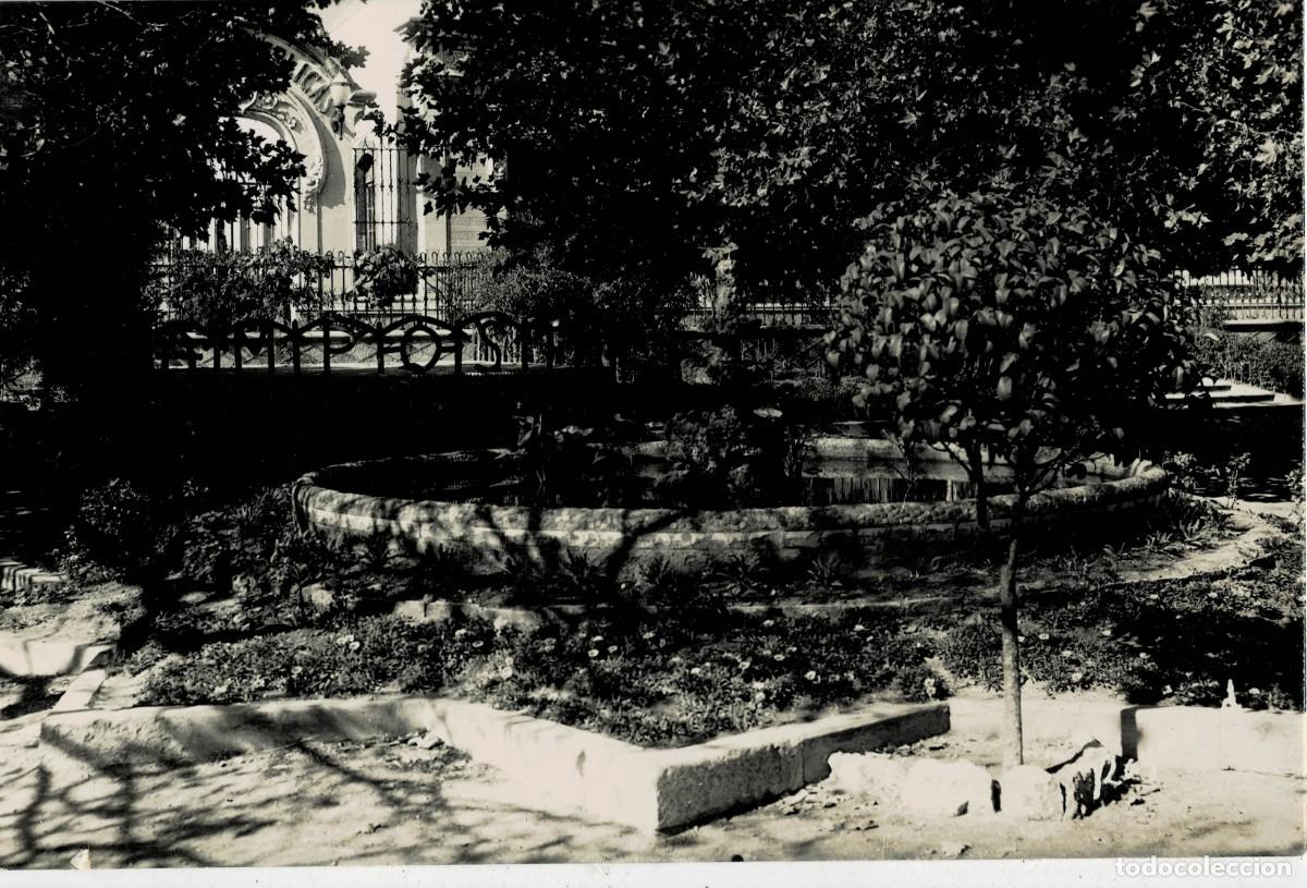 Postales: POSTAL MODERNA DE CATALU&Ntilde;A. AMPOSTA. SURTIDORES DEL JARDIN PUBLICO. P-CAT-2178