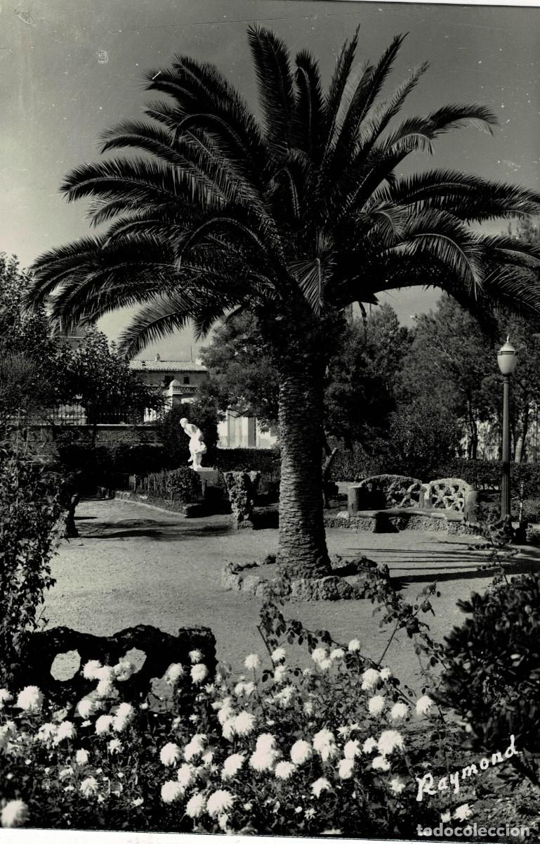 Postales: POSTAL MODERNA DE CATALU&Ntilde;A. AMPOSTA. DETALLE DEL JARDIN PUBLICO. P-CAT-2179